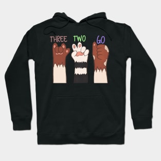 Three two go Hoodie